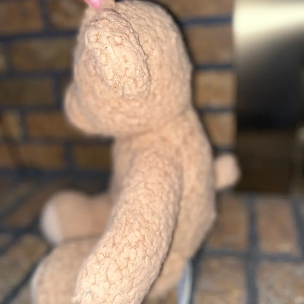 Build-A-Bear plush Bear 2021 - Picture 5 of 8